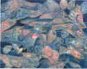 Fish_People2.jpg (80799 bytes)