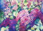 Flowers1_112601.jpg (45996 bytes)