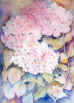 Hydrangea.jpg (57896 bytes)