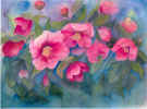 Larger_Flowers2.jpg (186828 bytes)