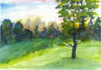 Lone_Tree2.jpg (47744 bytes)