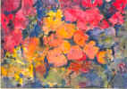 Orange_Posies2.jpg (34297 bytes)