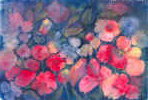 Pink_Pansies2.jpg (59955 bytes)