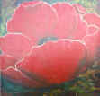 Poppy_Love.jpg (19584 bytes)