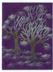S_Card_2.jpg (90656 bytes)
