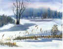 Winter_cons2.jpg (56650 bytes)